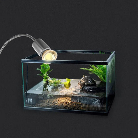 Turtle UVB Bulb