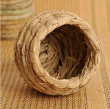 Bird Cocoon Nest