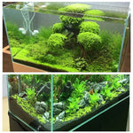 Natural Tank Gravel
