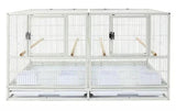 Oversized Parrot Enclosure