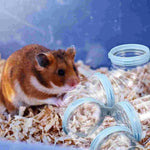 Hamster Tunnel Add-on
