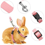Rabbit Harness Set