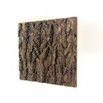 Terrarium Background Decor
