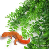 Reptile Hanging Fern