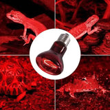 Terrarium Heat Bulb