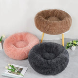Memory Foam Cat Bed