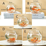 Mini Fish Tank