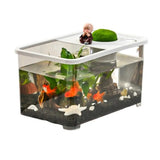 Contemporary Fish Tank