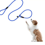 Rope Dog Lead