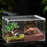 Terrarium Substrate Base