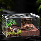 Terrarium Substrate Base