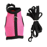 Rabbit Secure Harness