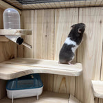 Tiered Hamster Cage