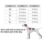 Canine Car Harness