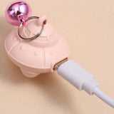 Laser Pointer Toy