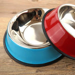 Custom Pet Bowl