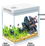 Starter Fish Tank Set