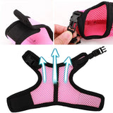 Rabbit Secure Harness