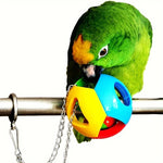 Hanging Ball Toy