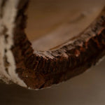 Reptile Humidity Hide