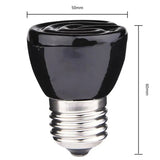 Ceramic Heat Lamp