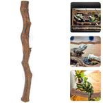 Reptile Wood Decor