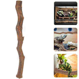 Reptile Wood Decor