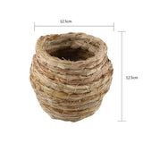 Bird Cocoon Nest