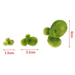 Floating Aquatic Plants