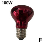 Terrarium Heat Bulb