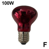 Terrarium Heat Bulb