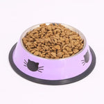 Metal Feeding Bowl