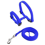 Rabbit Harness Set