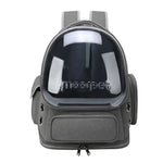 Clear Pet Carrier