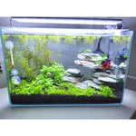 LED Terrarium Light