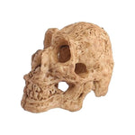 Terrarium Skull Decor
