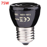 Ceramic Heat Lamp
