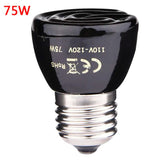 Ceramic Heat Lamp