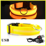Glow Dog Collar