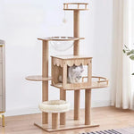 Large Cat Condo
