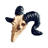 Terrarium Skull Decor