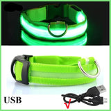 Glow Dog Collar
