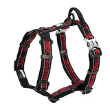 Canine Car Harness