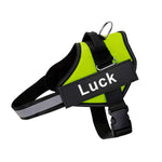 Anti-Pull Harness