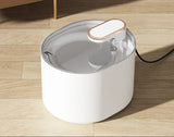 Pet Drinking Fountain