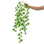 Reptile Hanging Fern