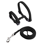 Rabbit Harness Set