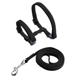 Rabbit Harness Set