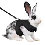Rabbit Secure Harness