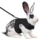 Rabbit Secure Harness